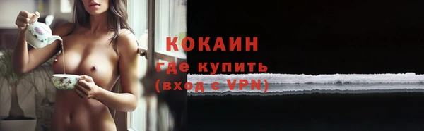соль ск Арсеньев