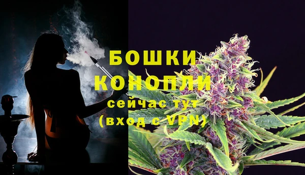 соль ск Арсеньев