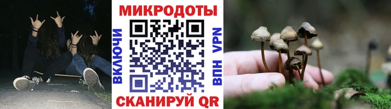 Галлюциногенные грибы Cubensis  OMG ТОР  Няндома 